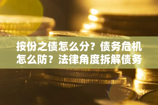 北京按份之债怎么分？债务危机怎么防？法律角度拆解债务分配与风险自保指南