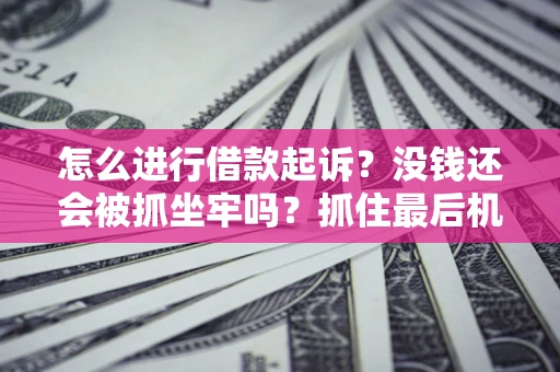 北京怎么进行借款起诉？没钱还会被抓坐牢吗？抓住最后机会！