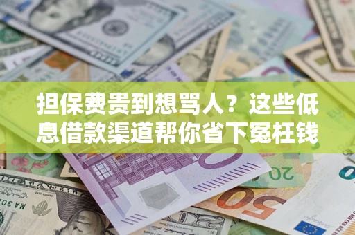 北京担保费贵到想骂人？这些低息借款渠道帮你省下冤枉钱