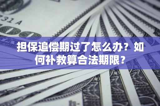 北京担保追偿期过了怎么办？如何补救算合法期限？